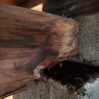 20220924_123657ca2fd43964e39642